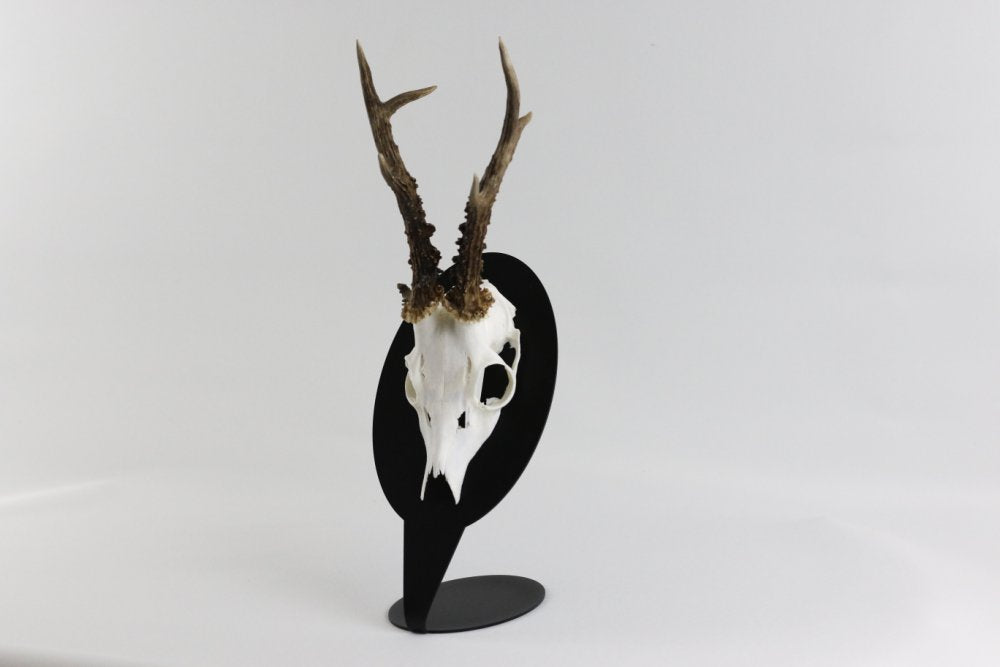 Trophäeplatte Tischmodell für Bock - Oval / Schwarz - Torp Solution