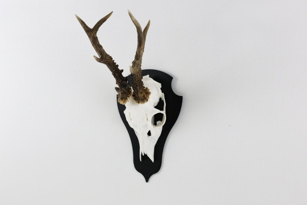 Trophäenplatte für den Bock Classic Schwarz - Torp Solution