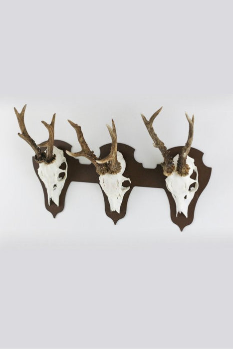 Aufsatzplatte für 3 Geweihe horizontal - classic / Corten - Torp Solution