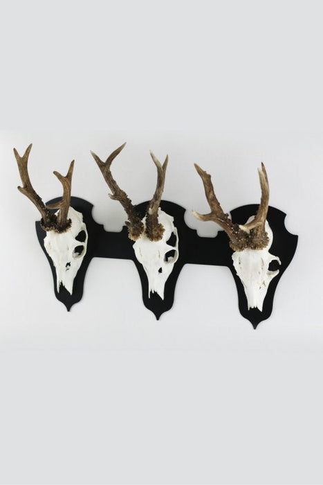 Horizontale Trophäentafel für 3 Böcke - klassisch in Schwarz - Torp Solution