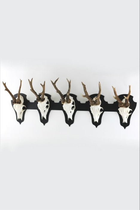 Trophäenteller für 5 Geweihe horizontal - classic / Schwarz - Torp Solution