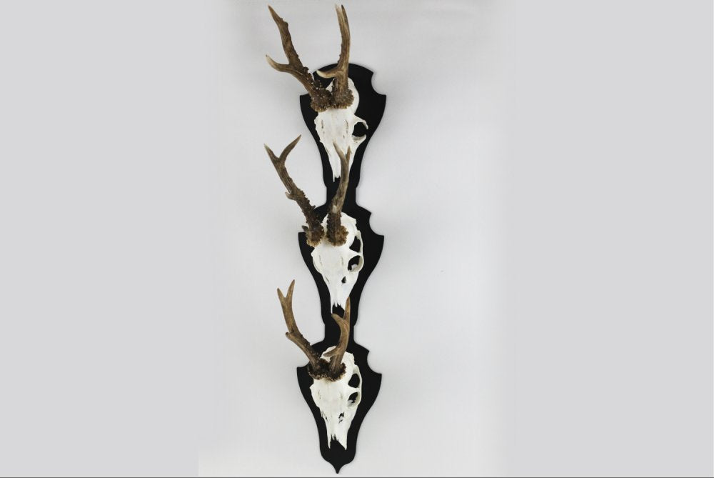 Aufsatzplatte für 3 Geweihe vertikal - Classic / Schwarz - Torp Solution