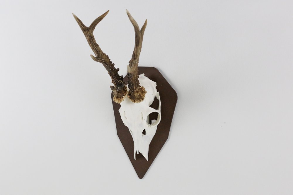 Trophäenteller für den Bock Diamond - Corten