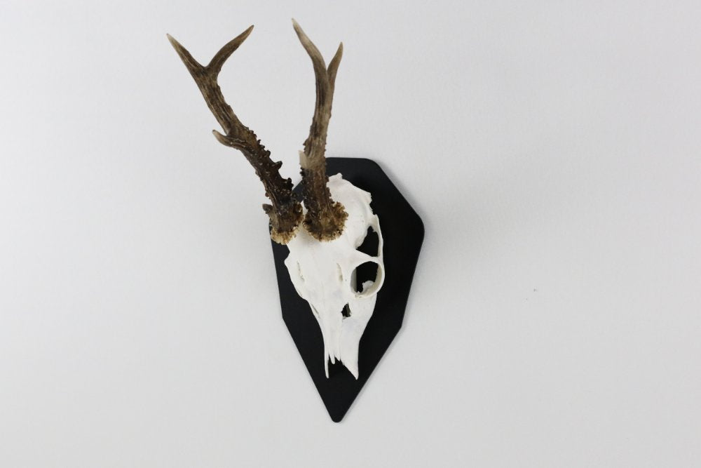 Aufsetzplatte für Geweih Diamond - Schwarz - Torp Solution