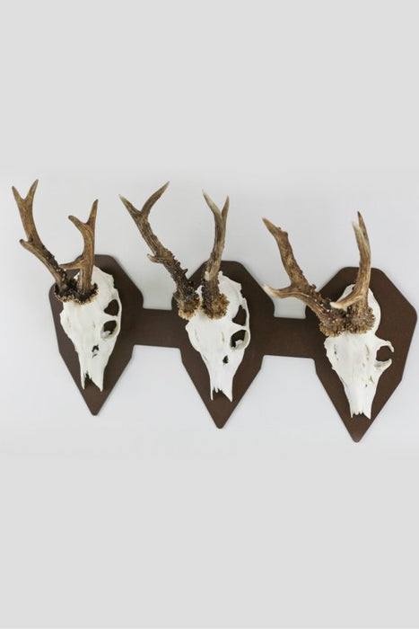 Trophäenteller für 3 Böcke Horizontal - diamond / Corten - Torp Solution