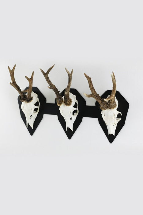 Anbauplatte für 3 Geweihe horizontal - diamond / Schwarz - Torp Solution