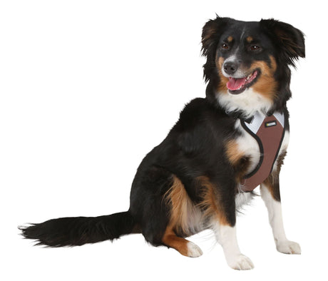 Hundegeschirr Pulsive – Hals 62–85 cm – Brust 72–96 cm – Kerbl