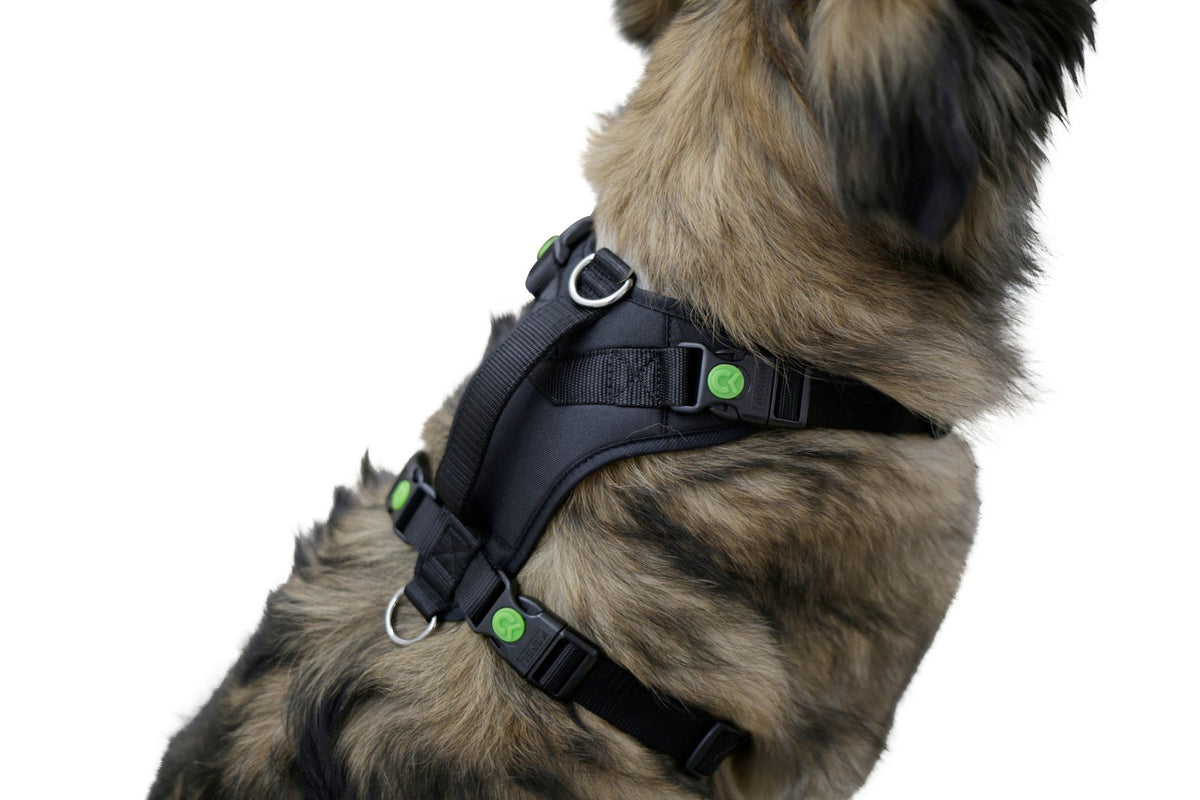 Hundegeschirr Pulsive – Hals 36–50 – Brust 46–60 cm – Kerbl